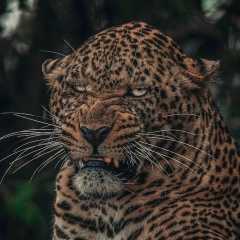 Аслан Асхабов, 18.01.1970