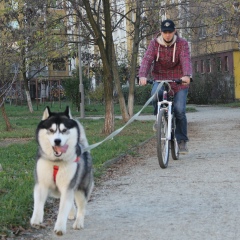 Александр Пушкин, 13.02.1989, Ужгород