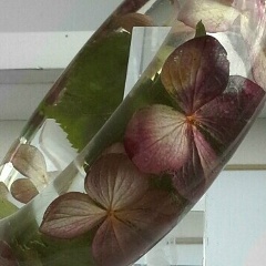 Надежда К, Хотьково