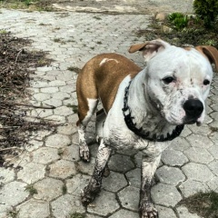 Тёма Кодер, 29.05, Санкт-Петербург