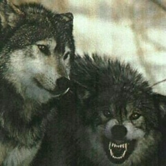 Ахмед Осканов, 07.03, Москва