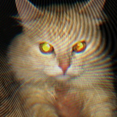 Олеся Вережева, 16.07