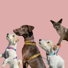 Ксения Степанова, 08.05, Москва