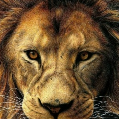 Иван Зубарев, 30.07.1984, Москва