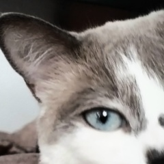 Карина Вадимовна, 25.09, Санкт-Петербург