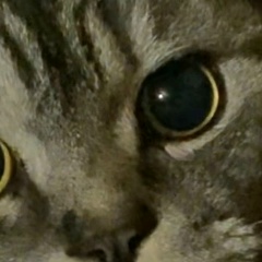 Олег Зеров, 27.07.1995, Москва