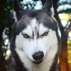 Жалгас Нурпеисов, 05.04.1992