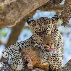 Рассул Рассулов, 15.08.1994, Назрань