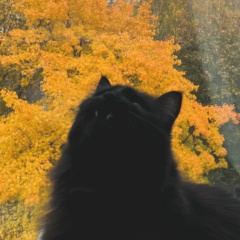 Гиляна Тачиева, 06.12.1994