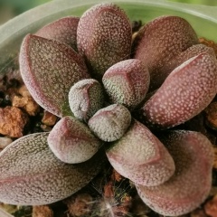 Елена Меньшинина, 12.04, Москва