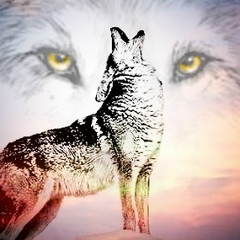 Said Khumakiev, 13.10, Ростов-на-Дону