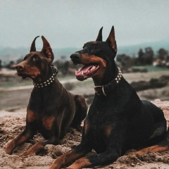 Айгерим Алпамыскызы, 21.06.1992, Атырау