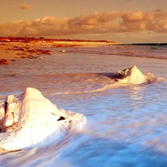 Татьяна Парсанова, 16.12, Санкт-Петербург