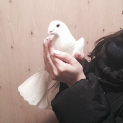 Наталия Майер, 25.01, Berlin