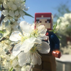 Mukhtar Saparov, 18.10, Семей