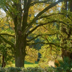 Настя Березина, 17.10