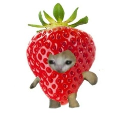 Ислам Бейсенбай, 13.06.1991, Алматы