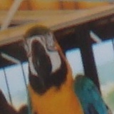 Иван Дубровский, 18.07, Железногорск