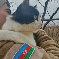 Ceyhun Kolani, 05.03.1996, Баку