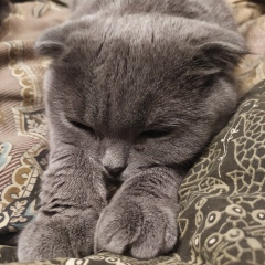 Юля Трач, 12.09.1997, Москва