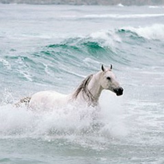 Александр Бояркин, 17.06.1987, Липецк