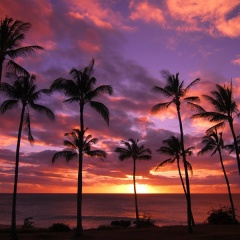 Giuseppe Doto, 08.03.2007, Москва