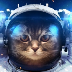 Stanislav Nikolaev, 26.07, Санкт-Петербург