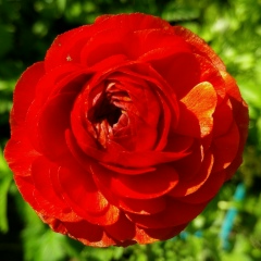 Татьяна Леонова, 12.05.1986, Сергиев Посад