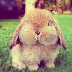 Катерина Белорецкая, 05.10, Москва