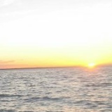 Александр Скрыпка, Санкт-Петербург