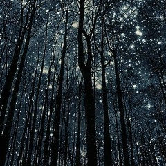 Полина Кудагелдинова, 21.08, Томск