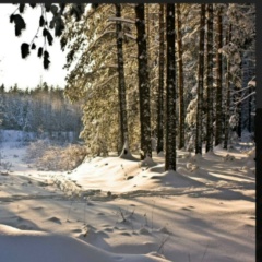 Лёша Лев, 11.04.1987