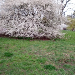 Елена Трошина, 23.02, Калининград