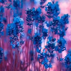 Лилия Ефимова, 18.03.1998, Черкассы