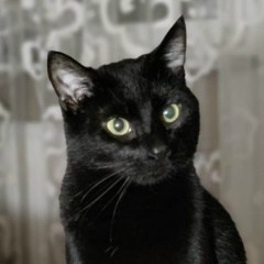 Евгения Коршенбаум-Филатова, 26.09