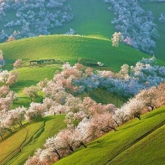 Шынгыс Рахымбердиев, 08.12, Шымкент