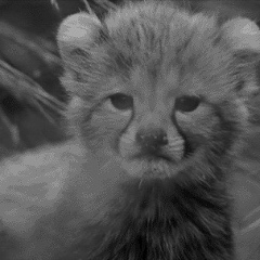 Рита Кирюнова