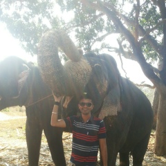 Max Goa, 01.07, Goa Velha