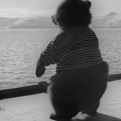 Сергей Валерьевич, 28.04, Санкт-Петербург