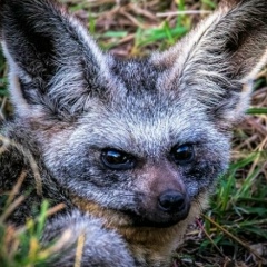 Илья Павлов, 18.03.1979, Санкт-Петербург