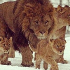 Алина Аминева, 05.10, Казань