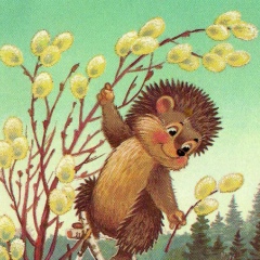 Антон Лабецкий