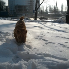 Толя Вирченко, 09.04.2003, Киев