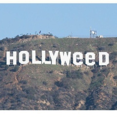 Malika Yaminova, 16.03.1995, Самарканд