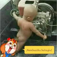 Bonsai Jos, 20.09.2006