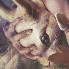 Иван Зайцев, 16.05.1991, Киев