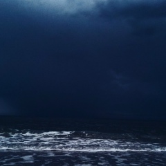 Svetlana Boshkova, Санкт-Петербург