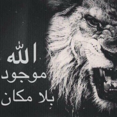 Шамиль Газиев, 15.10.1997, Борзые