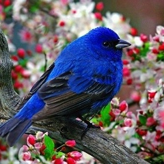 Мария Суббот, 22.04.1983, Минск