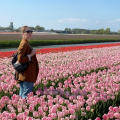 Anna Ustinova, Amsterdam